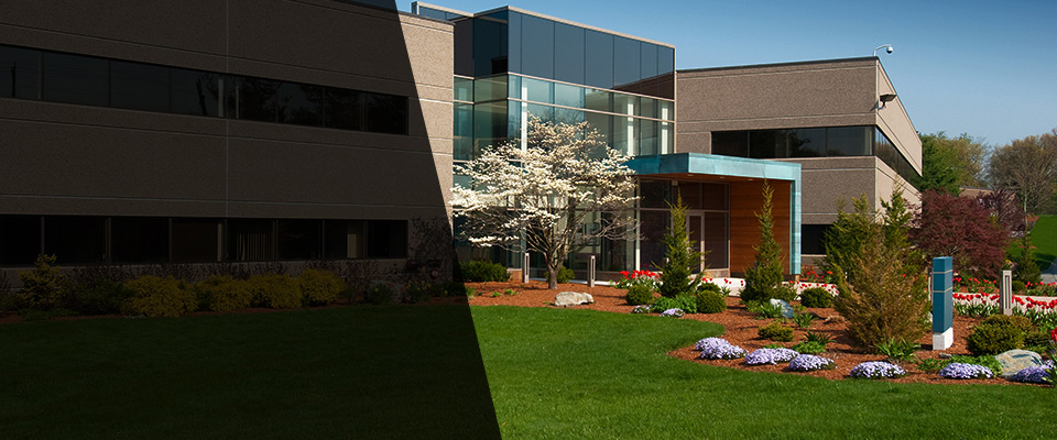 Morganville Landscapers