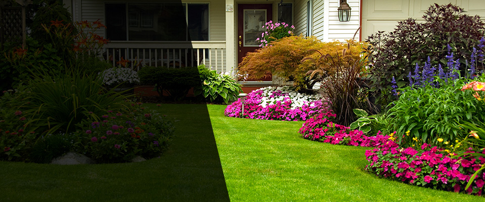 Morganville Landscapers
