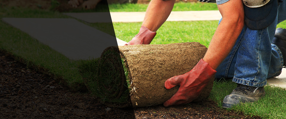 Morganville Landscapers